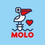 Molo Firenze avatar